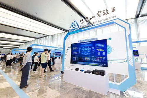 窥见未来网络趋势 网络科技技术开发开启产业新篇章