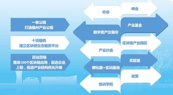 芯际领航，数创未来 数字中国建设的网络科技新图景